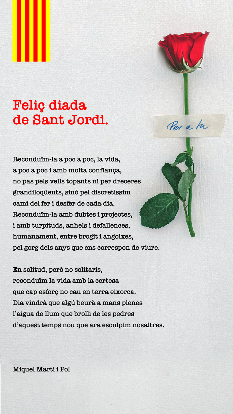 Feliç Diada de Sant Jordi 